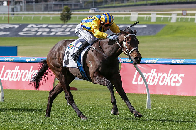 Blind Raise powers to victory in the A$100,000 Listed McMahon&rsquo;s Dairy McKenzie Stakes (1300m) at Sandown.  - Photo: ultimateracingphotos.com.au