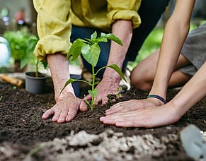 Gardening Without the Aftermath: An Osteopath's Guide to Working Safely in Your Garden