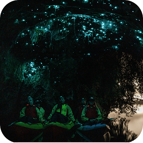 Glow Worm Kayak Tour in Rotorua New Zealand