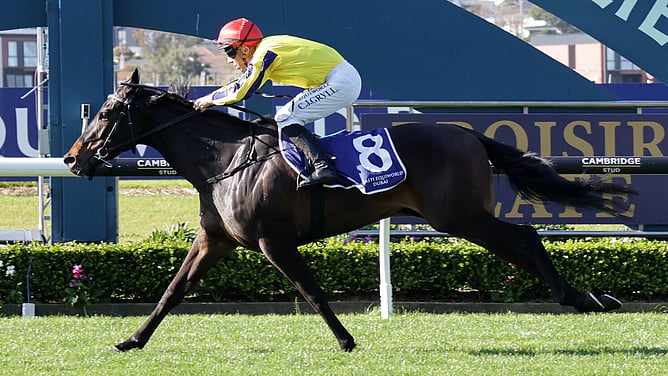 Pounce winning the Gr.3 Sunline Vase (1200m) at Ellerslie on Saturday. - Photo: Kenton Wright (Race Images)