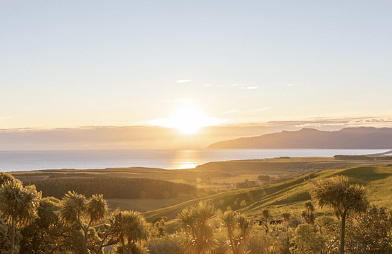 Discover Wairarapa Property Management