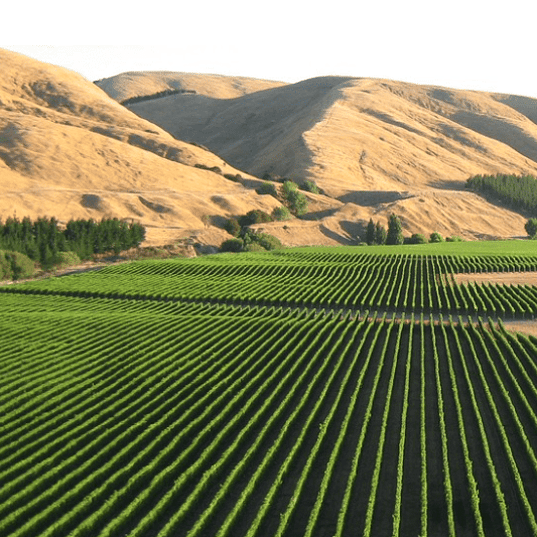Discover Te Muna Valley