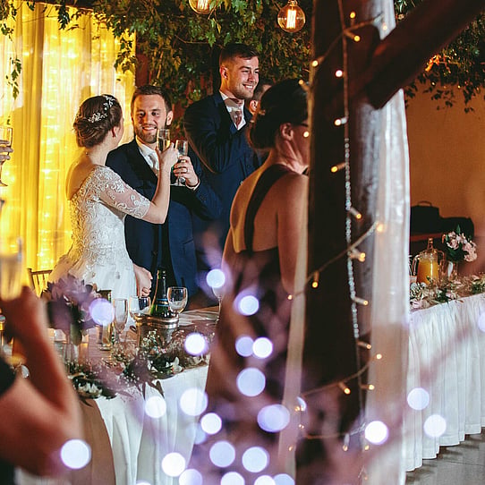 Wedding Reception Under the Vines