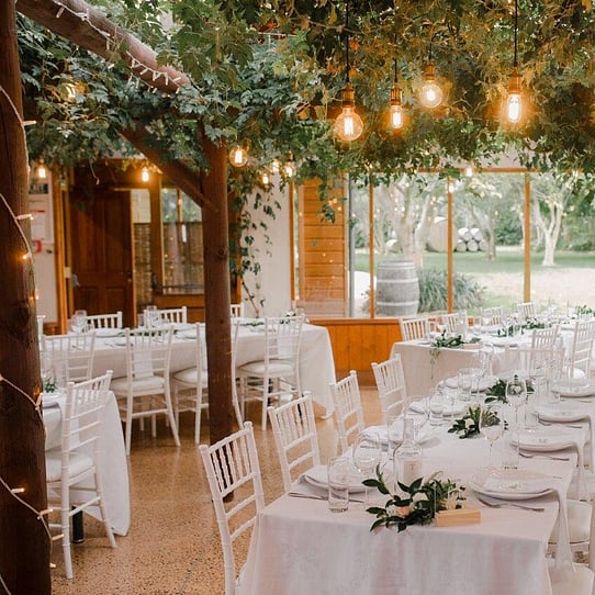 Wedding Reception Under the Vines