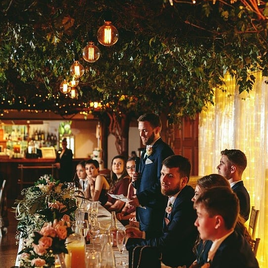 Wedding Reception Under the Vines