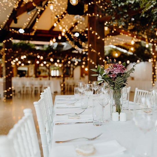 Wedding Reception Under the Vines