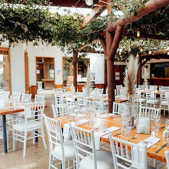 Wedding Reception Under the Vines Table Decor