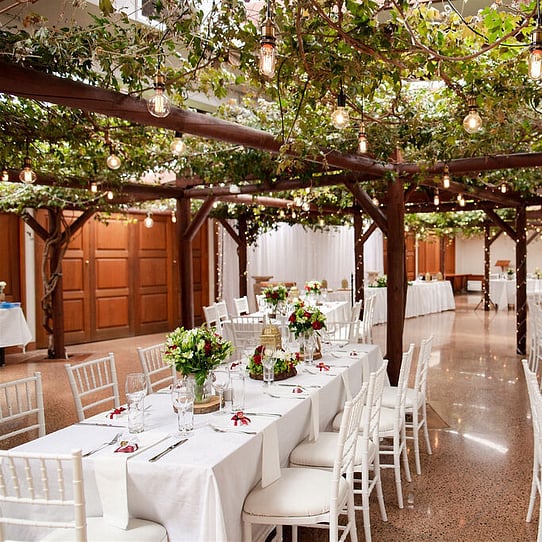 Wedding Reception Under the Vines Table Decor