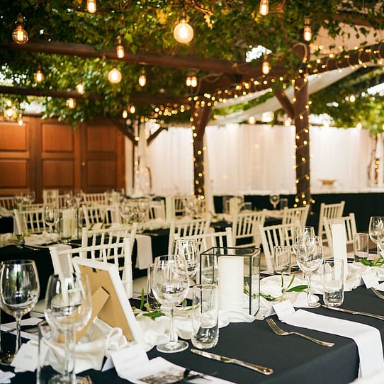 Wedding Reception Under the Vines