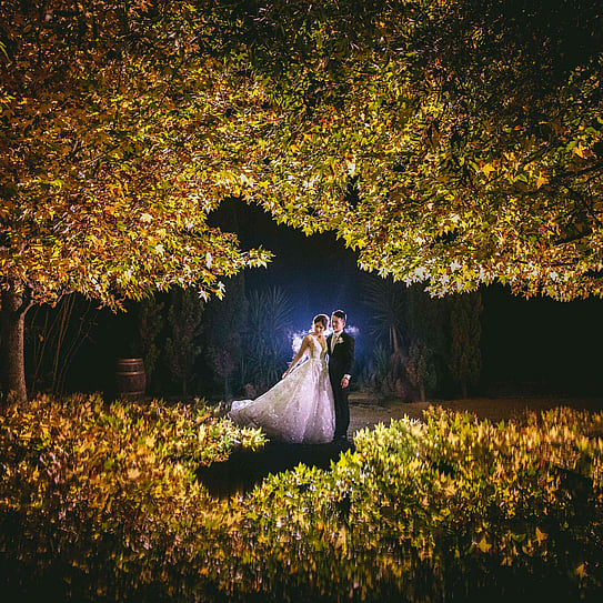 wedding couple posing at night time