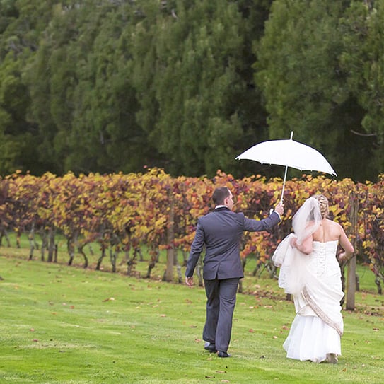 wedding couple at vineyard