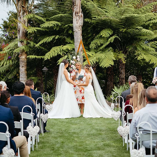 two brides 