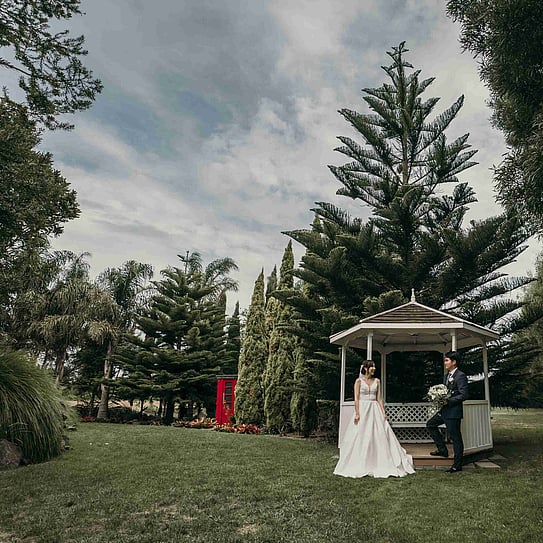 bride and groom