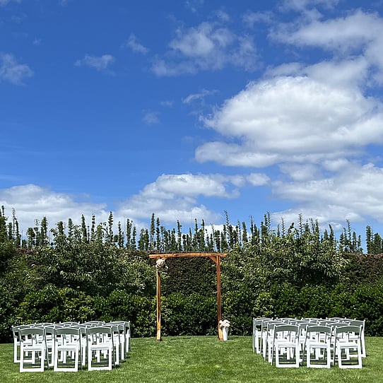 Cherry Blossom Round Wedding Ceremony