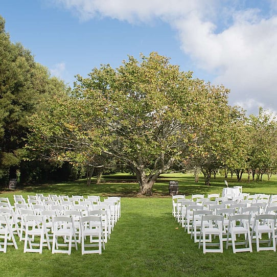 Chestnut Tree Ceremony