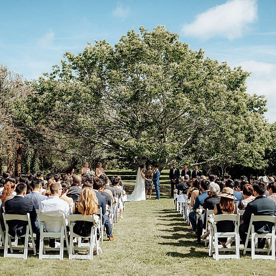 Chestnut Tree Ceremony