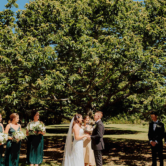 Chestnut Tree Ceremony