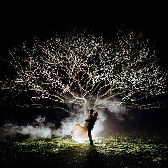 Chestnut Tree at Night