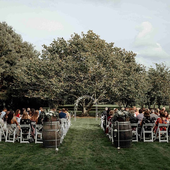 Chestnut Tree Ceremony