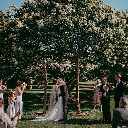 Chestnut Tree Ceremony