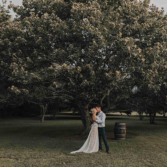 Chestnut Tree Ceremony