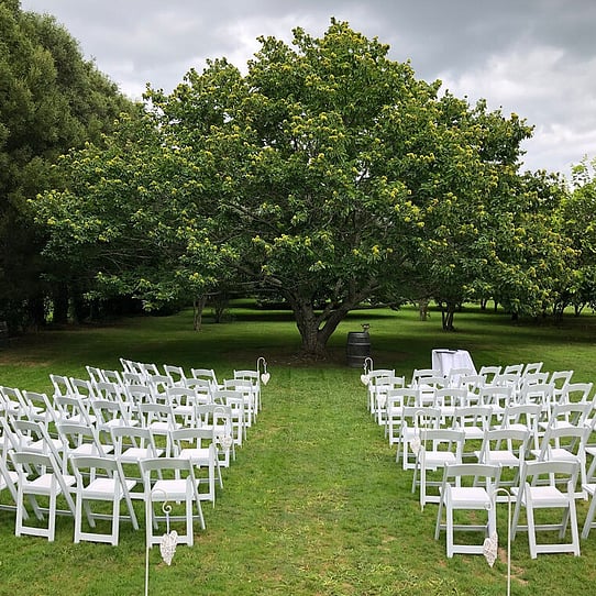 Chestnut Tree Ceremony