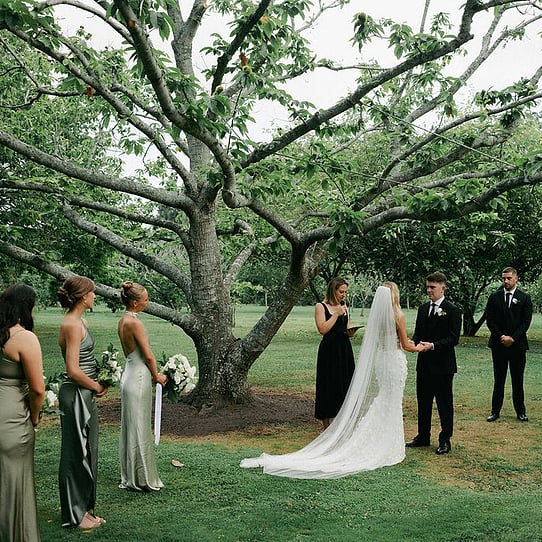 Chestnut Tree Ceremony