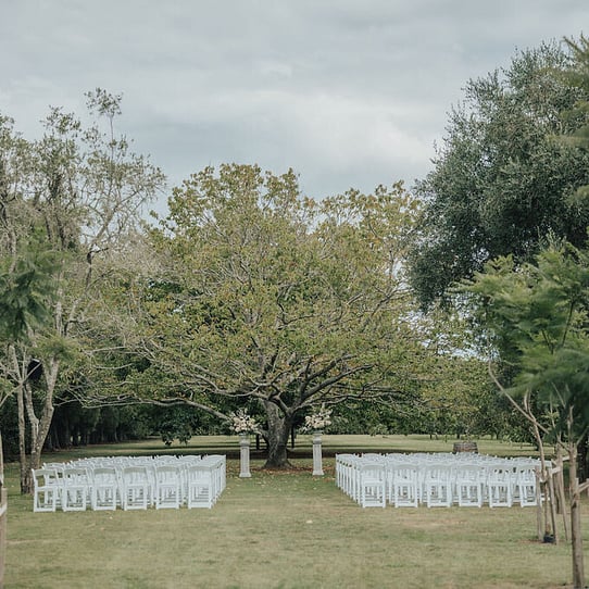 Chestnut Tree Ceremony