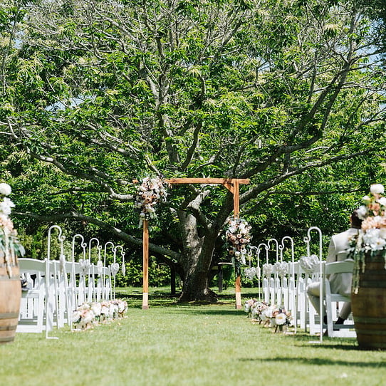 Chestnut Tree Ceremony