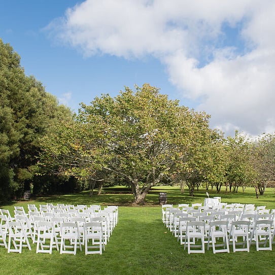 Chestnut Tree Ceremony