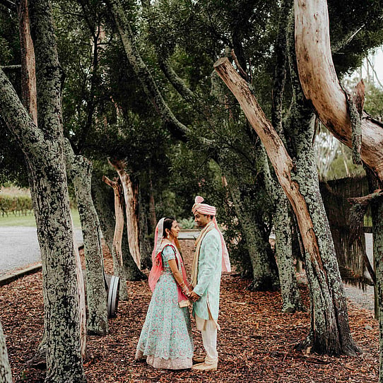 Bride and Groom in Forest