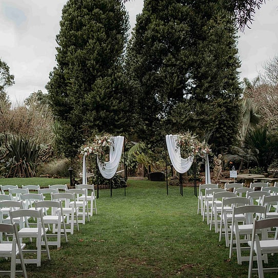 Two Kauri Trees Ceremony