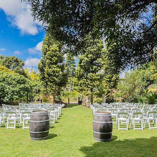 Two Kauri Trees Ceremony