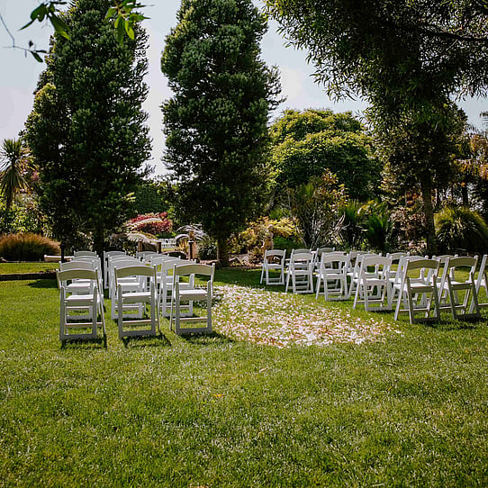 Two Kauri Trees Ceremony