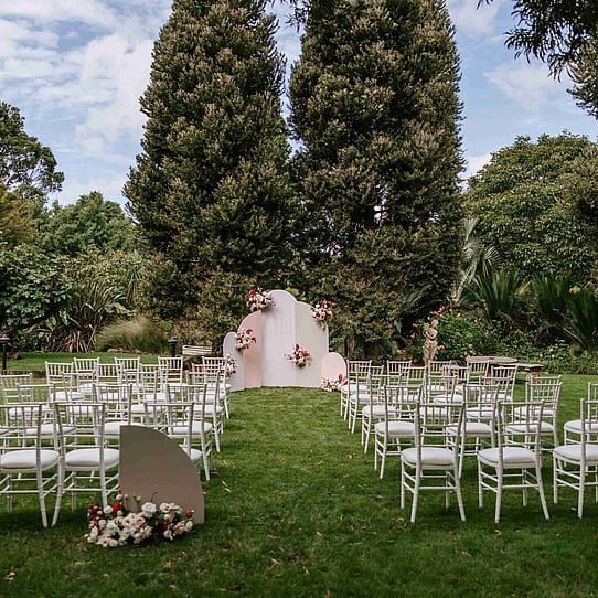 Two Kauri Trees Ceremony