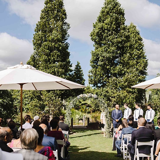Two Kauri Trees Ceremony