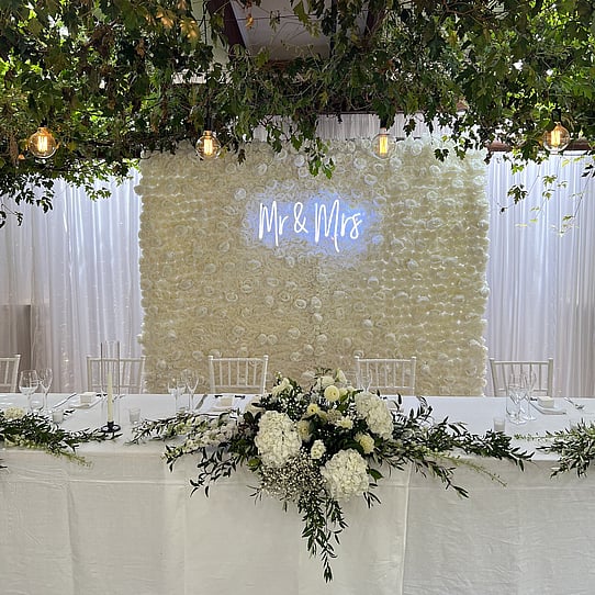 Backdrop behind Bridal Table