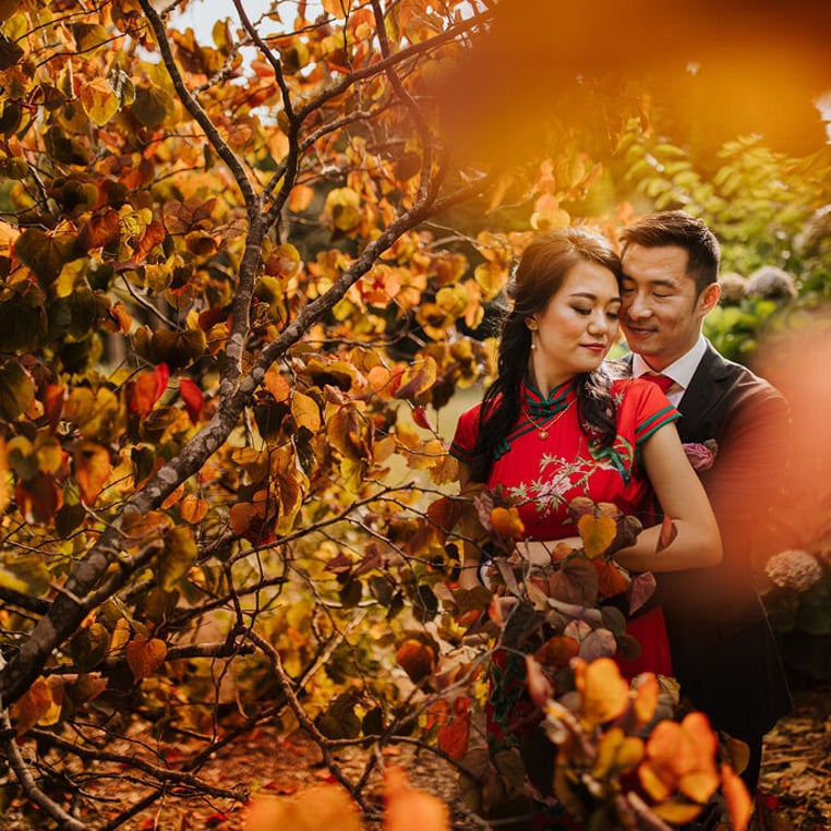 Couple infront of Autumn colour Trees