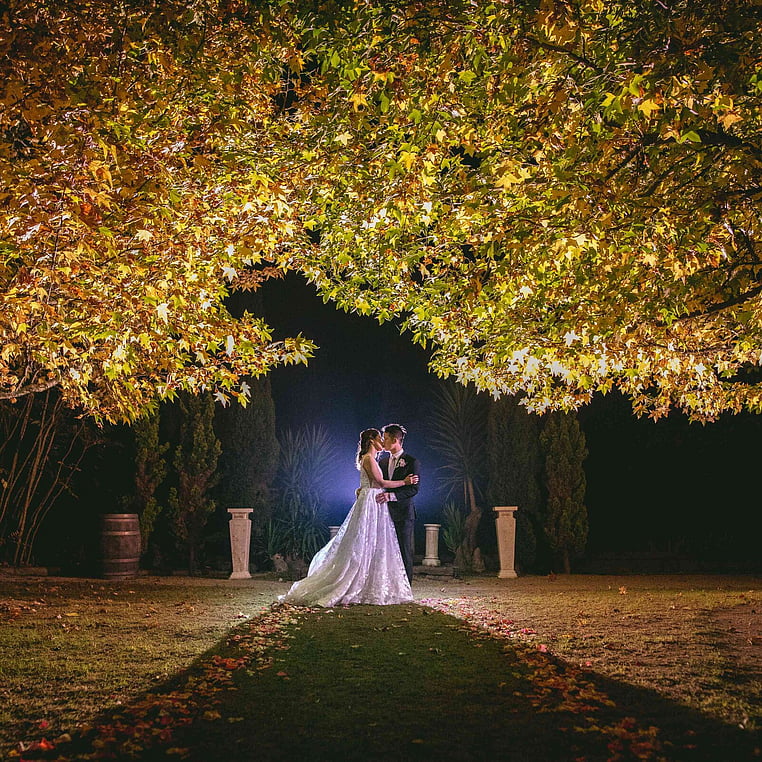 Couple Kissing Under the Tree