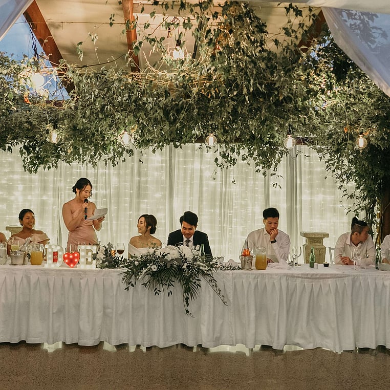 Bridal Party Under the Vines
