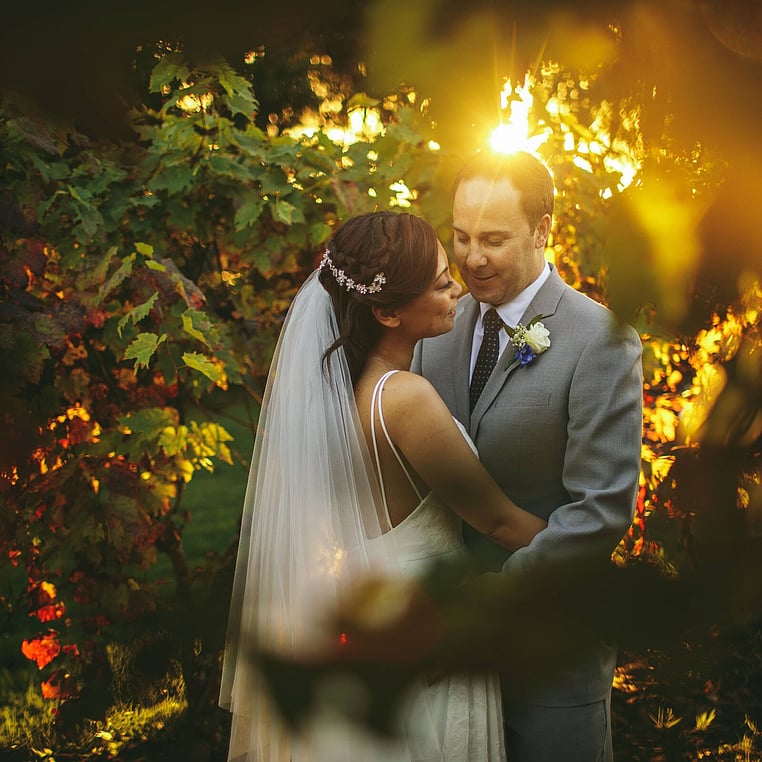 Sunset Photo in the Vines