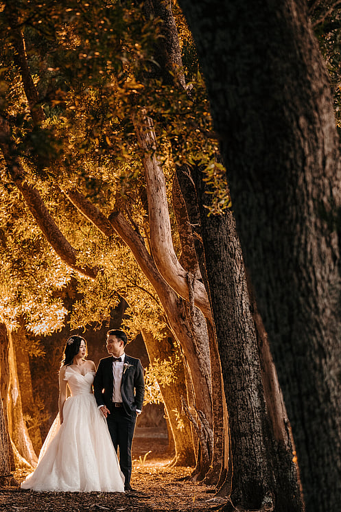 wedding couple posing at night