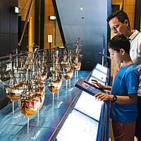 Family visiting the Museum of Sydney and learning about the First Fleet