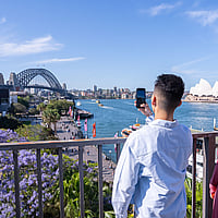 Couple viewing Jacaranda Trees in bloom at Circular Quay, First Fleet Park.