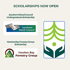 Scholarship Opportunities for Forestry Students in 2027
