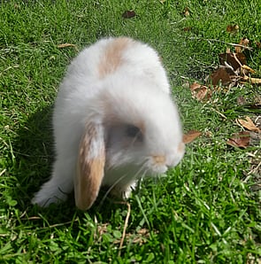 FROSTY - Available 25 Sept 2026