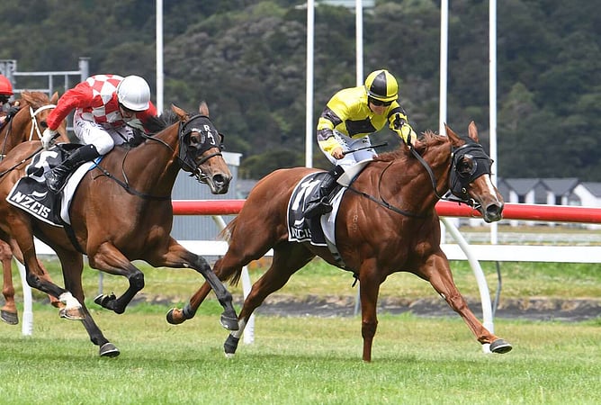 Churchillian winning the Gr.3 Anniversary Handicap (1600m) - Photo: Race Images (Peter Rubery)