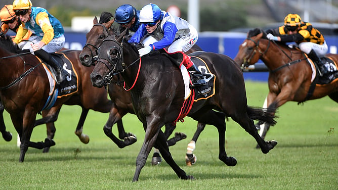 Group One winner Belle Cheval has been retired from racing. - Photo: Kenton Wright (Race Images)