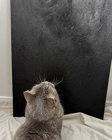 rear view of grey cat sitting on a draped pale cream sheet in front of black textured artwork 013 / 2026 and looking up at it with his head tilted back, his pale whiskers outlined against the dark surface