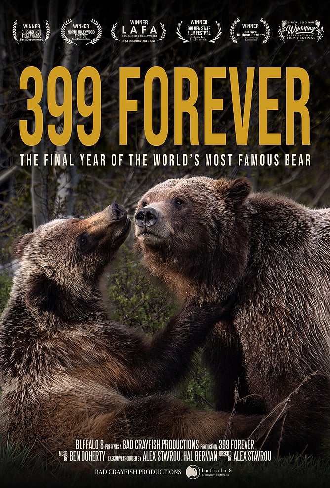 '399 FOREVER' Grizzly 399 Wildlife Documentary